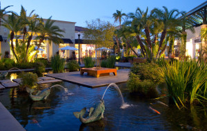 Fashion Island Coi Pond