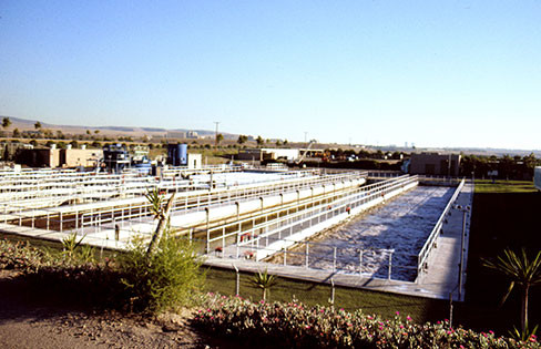 Michelson_H2O_Plant