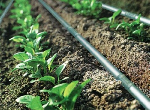 drip-irrigation-systems-1108018